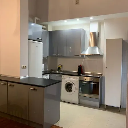 Atico Centro Apartment Jaca
